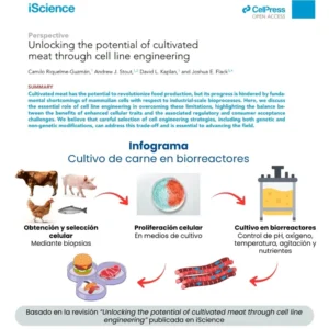 RTL Representaciones Técnicas | Desbloqueando el potencial de la carne cultivada a través de la ingeniería de líneas celulares